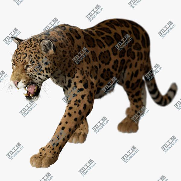 images/goods_img/20210312/3D Jaguar FUR RIGGED/1.jpg